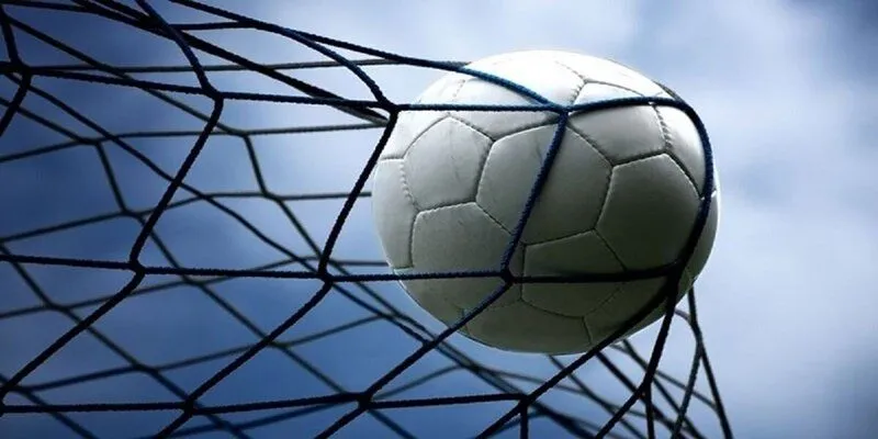 Kinh nghiệm soi kèo cược rung