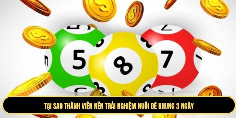 Nuôi lô khung 3 ngày có nhiều ưu điểm nổi bật